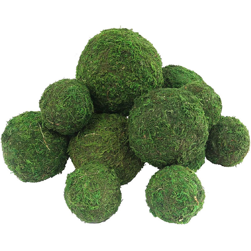 TREASURE_FUR Moss Ball Preserved Natural Green Decorative